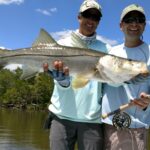 Big snook on fly
