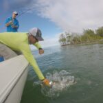 Baby tarpon boat side