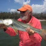 Nice beach snook
